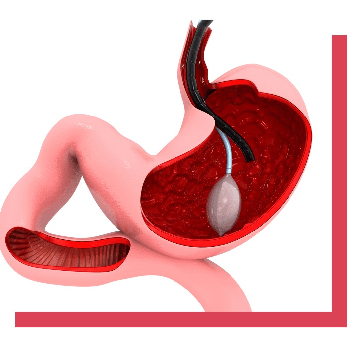 Untitled design - 2024-12-15T144440.980